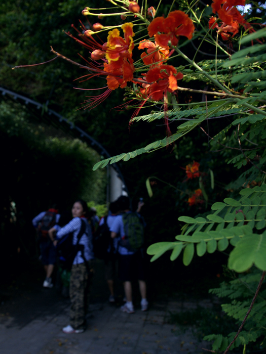 _DSC5192.jpg