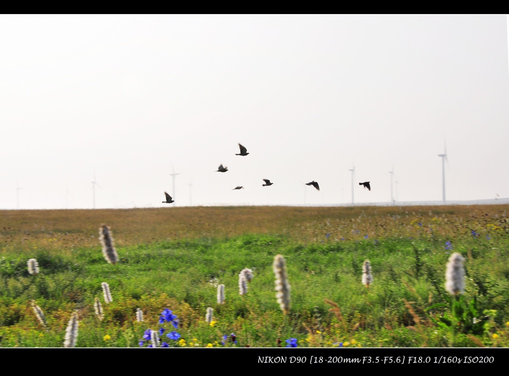 _DSC0895.jpg