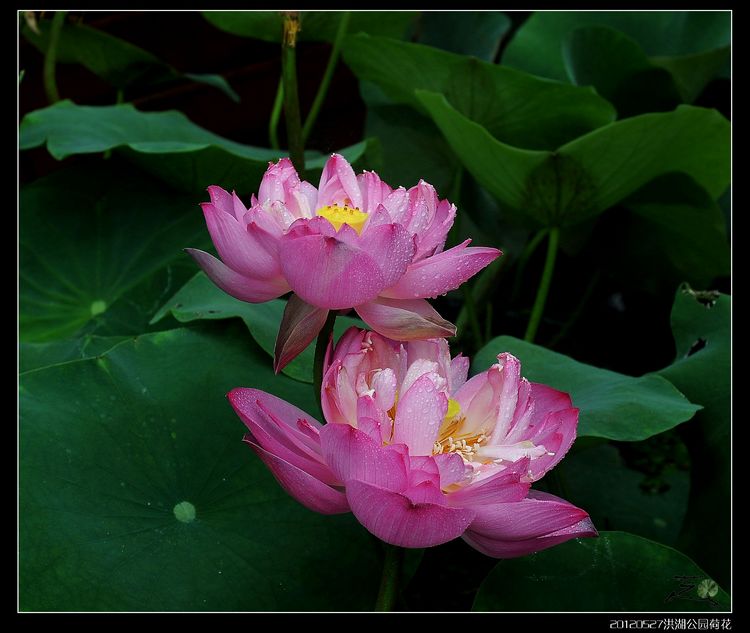 DSC_1710_nEO_IMG_nEO_IMG.jpg