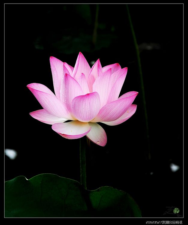 DSC_1956_nEO_IMG_nEO_IMG.jpg