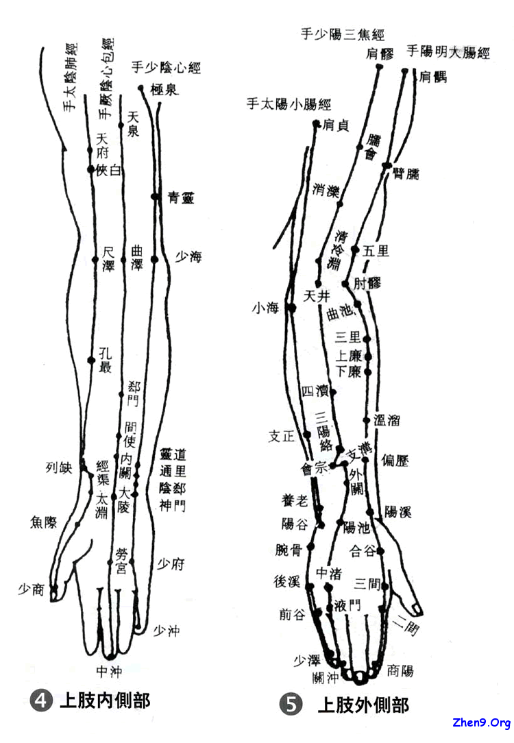 臂膀穴位.jpg