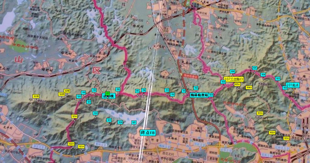 从福田保税区到罗湖人才市场坐什么车去啊